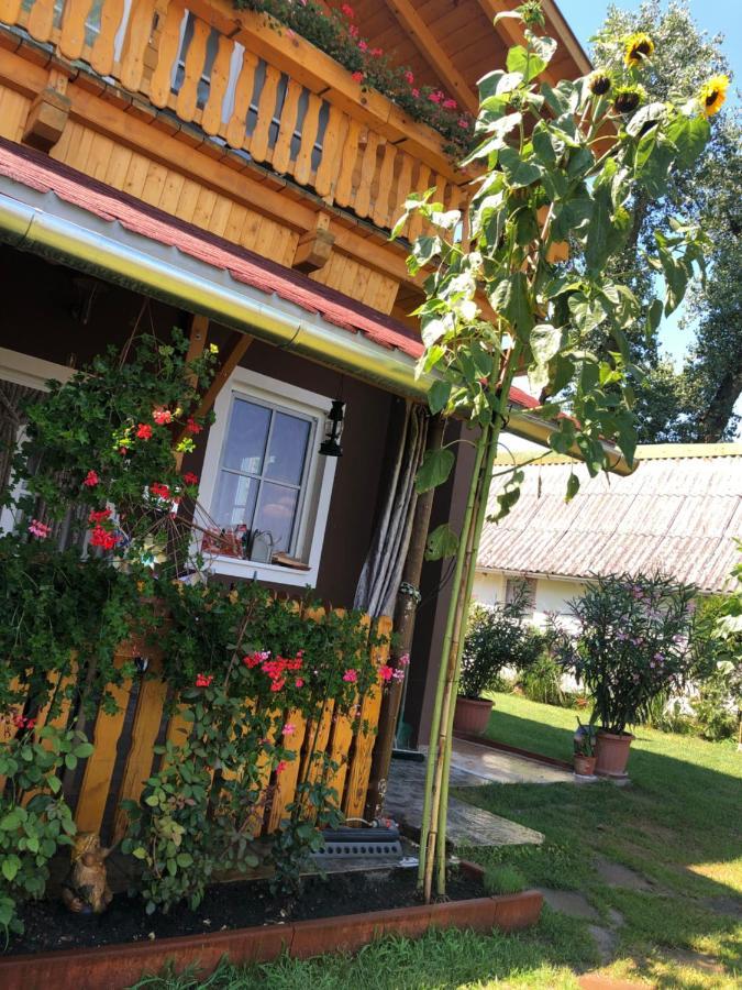 HeRo 4 Sterne Ferienhaus Baja Exterior foto